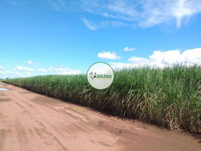 Sítio e chácara venda em Montes Claros de Goiás