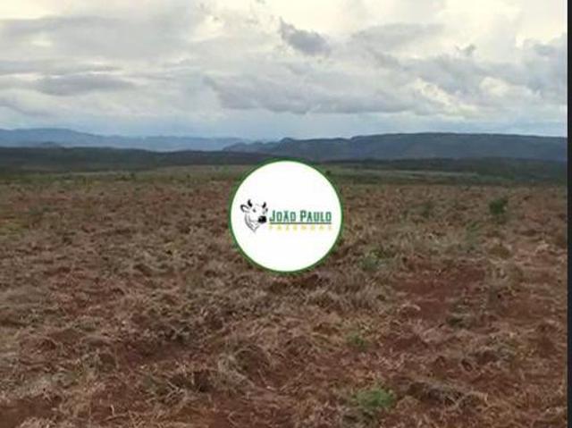 Sítio e chácara venda em Região Geográfica Imediata de Uruaçu - Niquelândia, Niquelândia