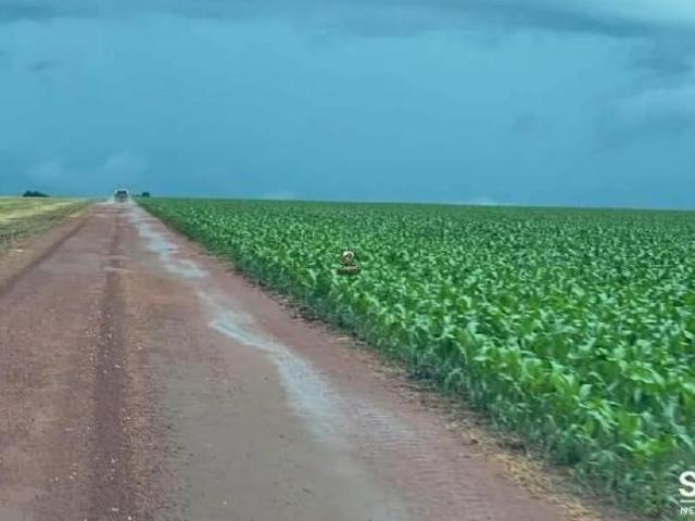 Sítio e chácara venda em Bom Jardim, Nobres