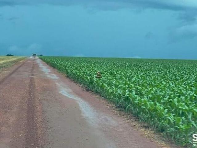 Sítio e chácara venda em Região Geográfica Imediata de Cuiabá, Nobres
