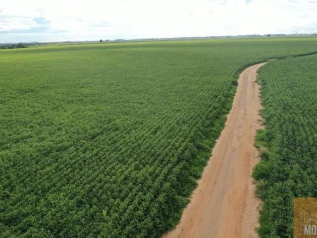 Sítio e chácara venda em Ivinhema, Mato Grosso do Sul