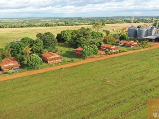 Sítio e chácara venda em Ivinhema, Região Geográfica Intermediária de Dourados