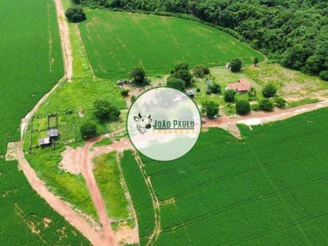 Sítio e chácara venda em Região Geográfica Imediata de Goiás - Itapuranga, Nova Crixás