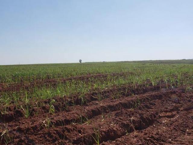 Sítio e chácara venda em Região Imediata de São José do Rio Preto, Região Metropolitana de São José do Rio Preto