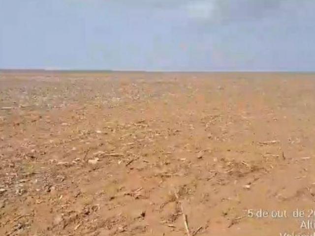 Sítio e chácara venda em Região Geográfica Imediata de Sorriso, Nova Ubiratã