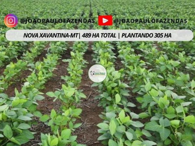 Sítio e chácara venda em Nova Xavantina, Região Geográfica Intermediária de Barra do Garças