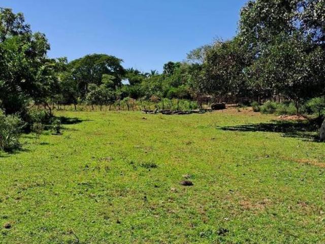 Sítio e chácara venda em Região Geográfica Imediata de Barra do Garças, Nova Xavantina