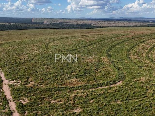Sítio e chácara venda em Novo São Joaquim, Região Geográfica Intermediária de Barra do Garças