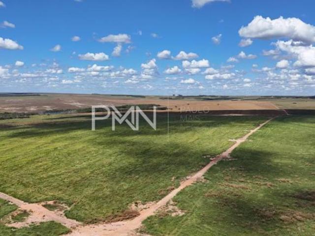 Sítio e chácara venda em Região Geográfica Imediata de Barra do Garças, Novo São Joaquim