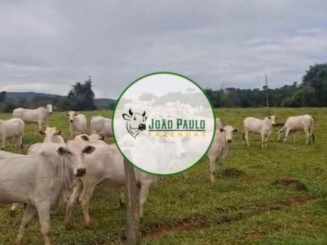 Sítio e chácara venda em Região Geográfica Imediata de Águas Lindas de Goiás, Região Integrada de Desenvolvimento do Distrito Federal e Entorno
