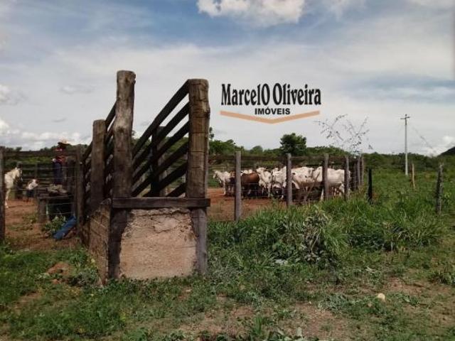 Sítio e chácara venda em Região Geográfica Imediata de Águas Lindas de Goiás, Região Integrada de Desenvolvimento do Distrito Federal e Entorno