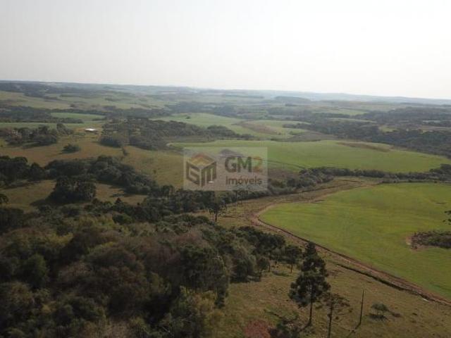 Sítio e chácara venda em Palmas, Região Geográfica Intermediária de Cascavel