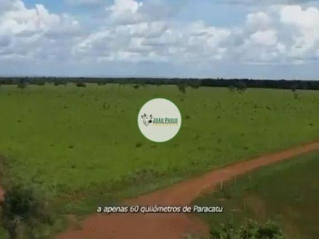 Sítio e chácara venda em Paracatu