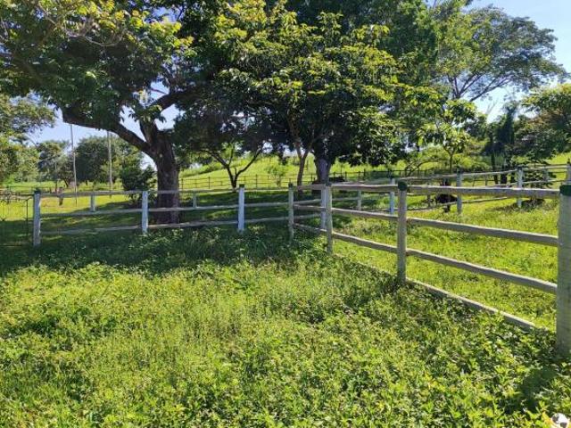 Sítio e chácara venda em Paracatu