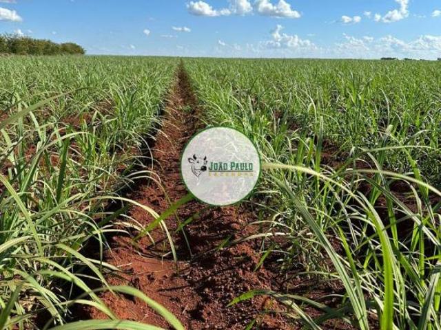 Sítio e chácara venda em Região Geográfica Imediata de Goiânia, Goiânia