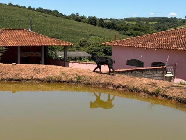 Sítio e chácara venda em Região Geográfica Imediata de Passos, Passos