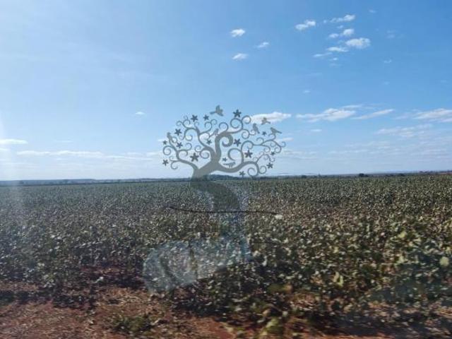 Sítio e chácara venda em Região Geográfica Imediata de Patos de Minas, Patos de Minas