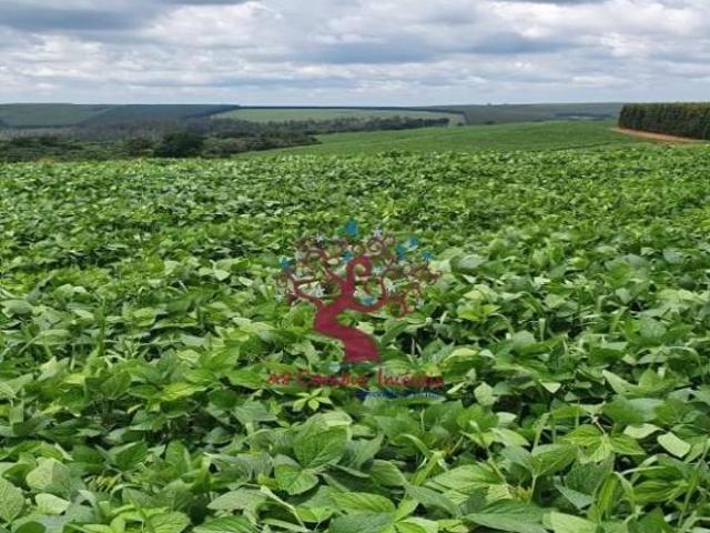 Sítio e chácara venda em Região Imediata de Bauru, Paulistania