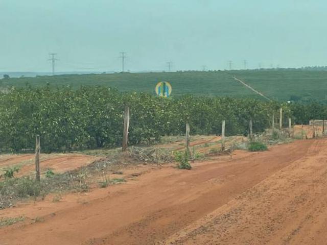 Sítio e chácara venda em Região Geográfica Imediata de Januária, Pedras de Maria da Cruz