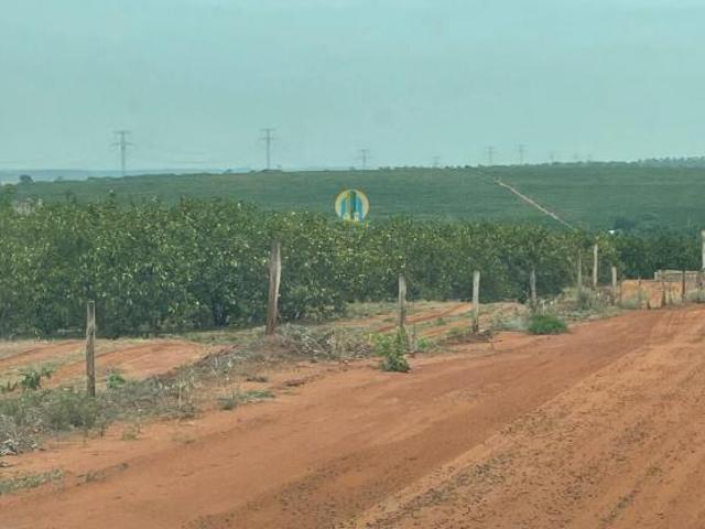 Sítio e chácara venda em Pedras de Maria da Cruz, Região Geográfica Intermediária de Montes Claros