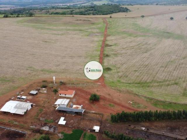 Sítio e chácara venda em Região Geográfica Imediata de Piracanjuba, Piracanjuba