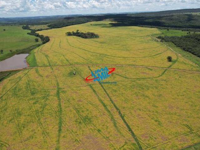 Sítio e chácara venda em Região Geográfica Imediata de Piracanjuba, Piracanjuba