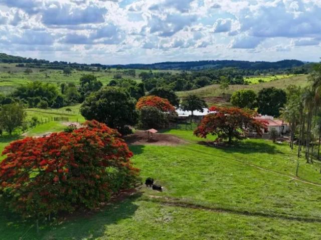 Fazenda venda em Região Geográfica Imediata de Piracanjuba, Piracanjuba