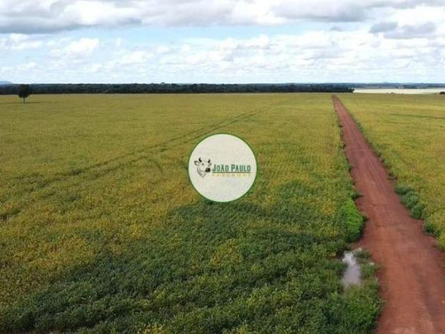 Sítio e chácara venda em Região Geográfica Imediata de Iporá, Piranhas