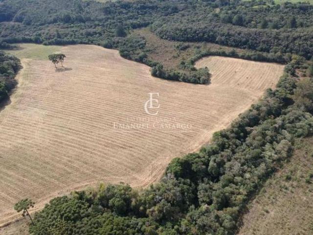 Sítio e chácara venda em Região Geográfica Imediata de Curitiba, Região Metropolitana de Curitiba
