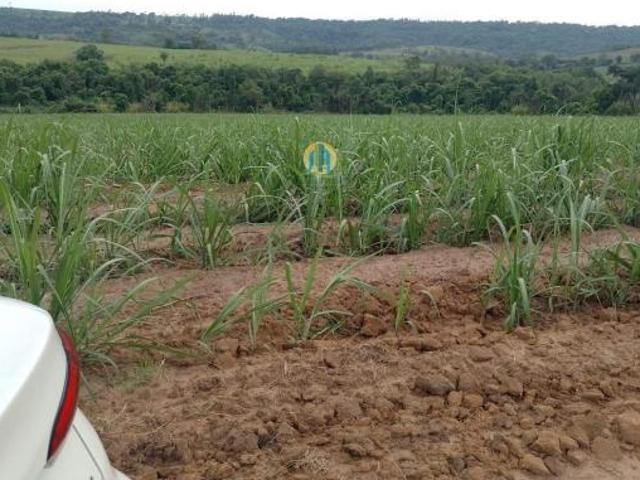 Sítio e chácara venda em Região Imediata de São Carlos, Região Metropolitana de Piracicaba