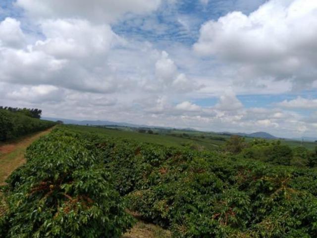 Sítio e chácara venda em Região Geográfica Imediata de Piumhi, Jerumenha