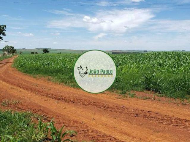 Sítio e chácara venda em Setor de Áreas Especiais Norte, Planaltina