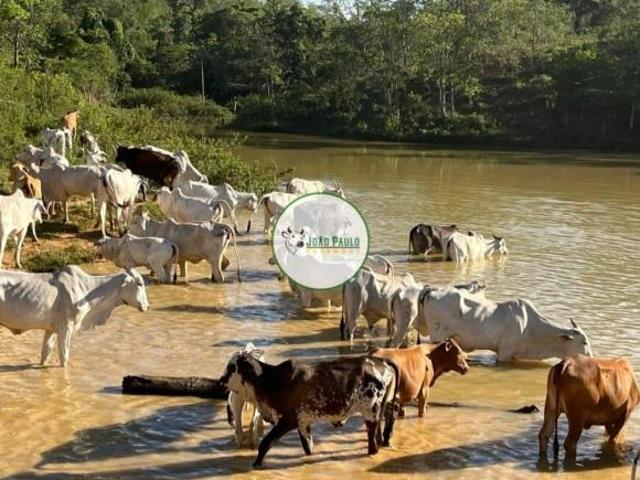 Sítio e chácara venda em Região Geográfica Imediata de Águas Lindas de Goiás, Região Integrada de Desenvolvimento do Distrito Federal e Entorno