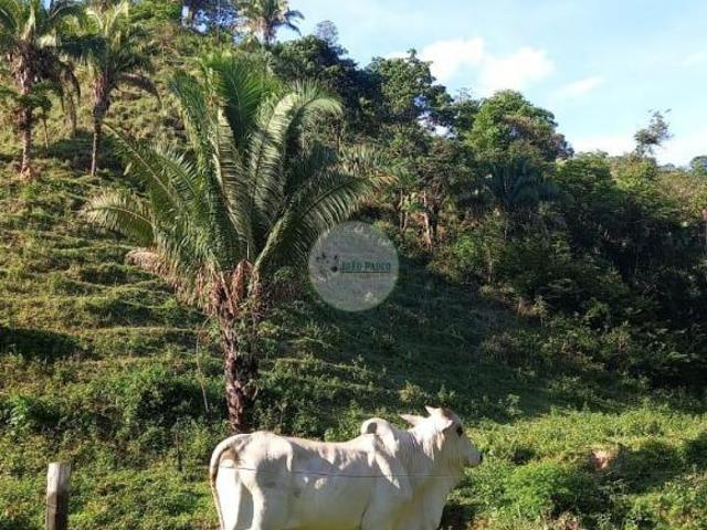 Sítio e chácara venda em Planaltina, Região Geográfica Intermediária de Luziânia-Águas Lindas de Goiás