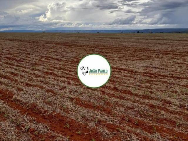 Sítio e chácara venda em Região Geográfica Imediata de Águas Lindas de Goiás, Região Integrada de Desenvolvimento do Distrito Federal e Entorno