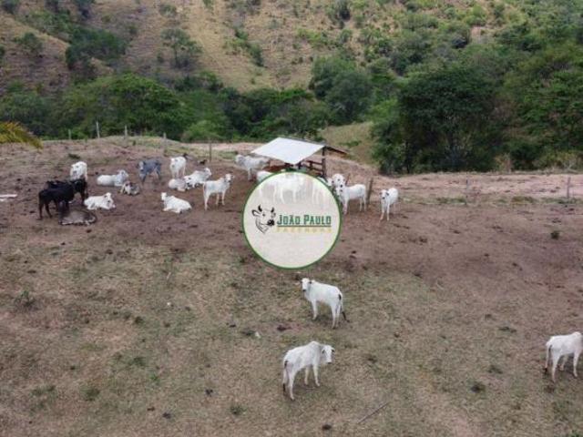 Sítio e chácara venda em Região Geográfica Imediata de Águas Lindas de Goiás, Região Integrada de Desenvolvimento do Distrito Federal e Entorno