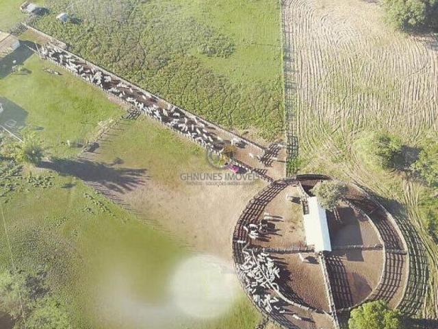 Sítio e chácara venda em Poconé, Região Geográfica Intermediária de Cuiabá