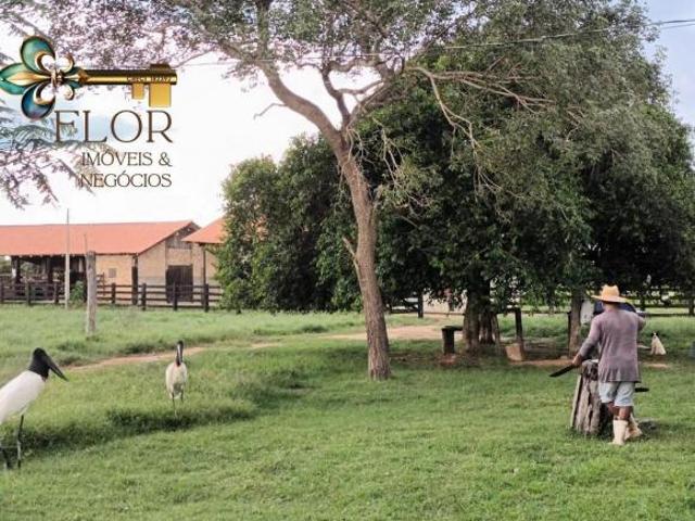 Sítio e chácara venda em Região Geográfica Imediata de Cuiabá, Poconé