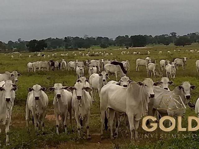 Sítio e chácara venda em Região Geográfica Imediata de Pontes e Lacerda - Comodoro, Pontes e Lacerda