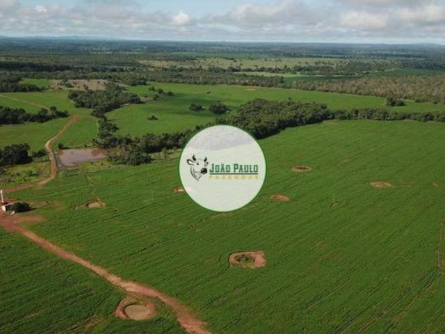 Sítio e chácara venda em Região Geográfica Imediata de Porangatu, Porangatu