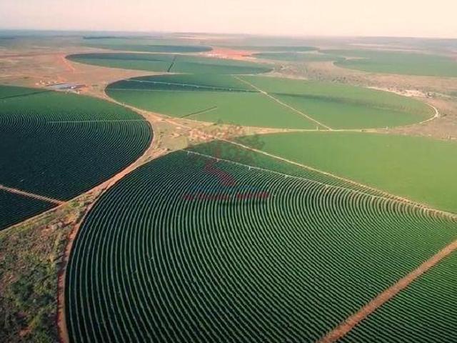 Sítio e chácara venda em Região Geográfica Imediata de Unaí, Região Integrada de Desenvolvimento do Distrito Federal e Entorno