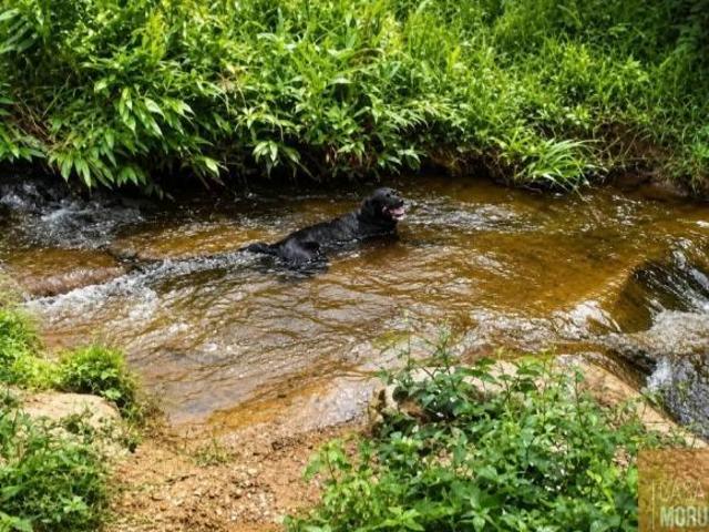 Sítio e chácara venda em Chapada do Norte, Região Sudeste