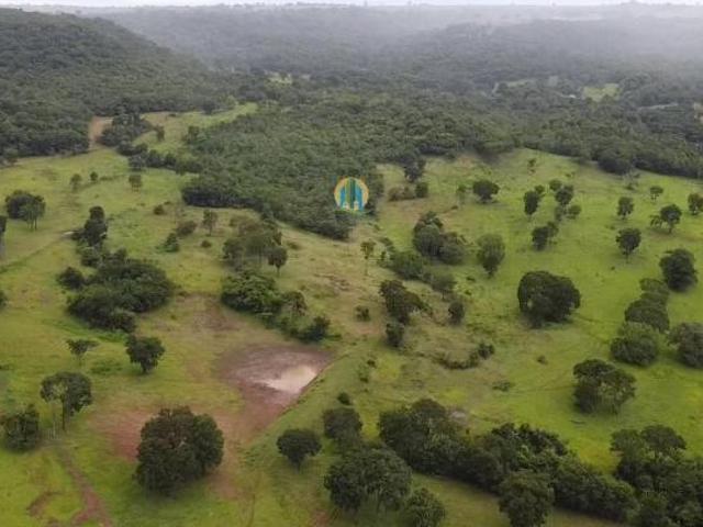 Sítio e chácara venda em Região Geográfica Imediata de Rio Verde, Rio Verde