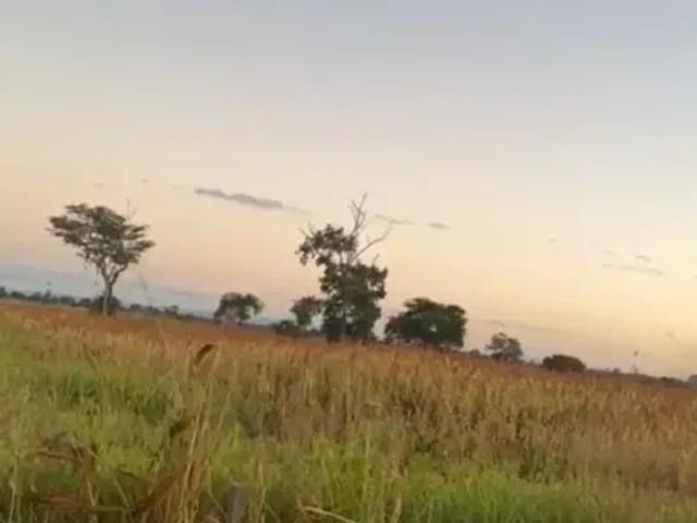 Fazenda venda em Região Geográfica Imediata de Posse-Campos Belos, São Domingos