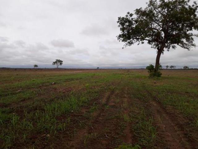 Sítio e chácara venda em Região Geográfica Imediata de Confresa - Vila Rica, São Felix do Araguaia