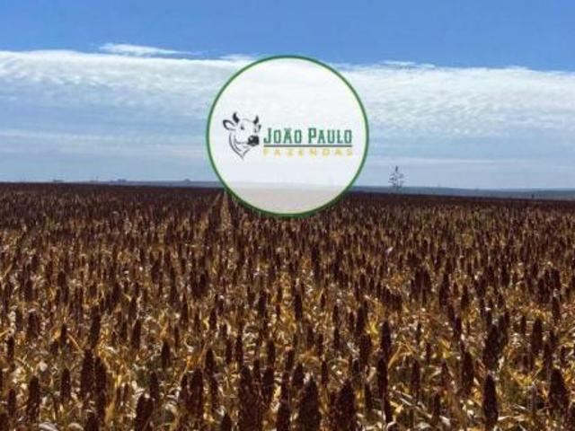 Sítio e chácara venda em Região Geográfica Imediata de Flores de Goiás, São João d'Aliança
