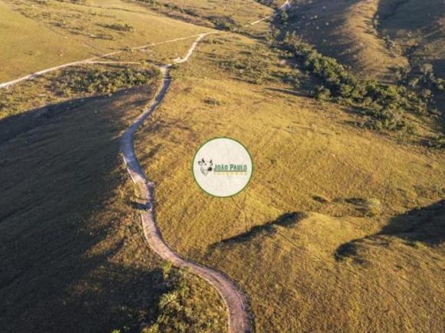 Sítio e chácara venda em Região Geográfica Imediata de Flores de Goiás, São João d'Aliança