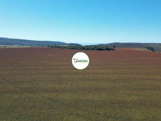 Sítio e chácara venda em Região Geográfica Imediata de Flores de Goiás, São João d'Aliança