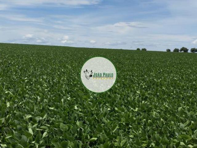 Sítio e chácara venda em Região Geográfica Imediata de Flores de Goiás, São João d'Aliança