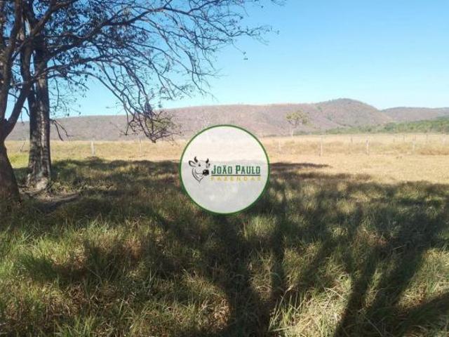 Sítio e chácara venda em Região Geográfica Imediata de Flores de Goiás, São João d'Aliança